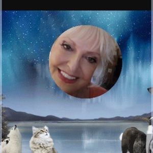 Meet your Posher, Dolly